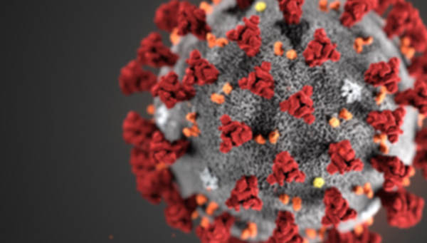 Model of COVID-19 virus