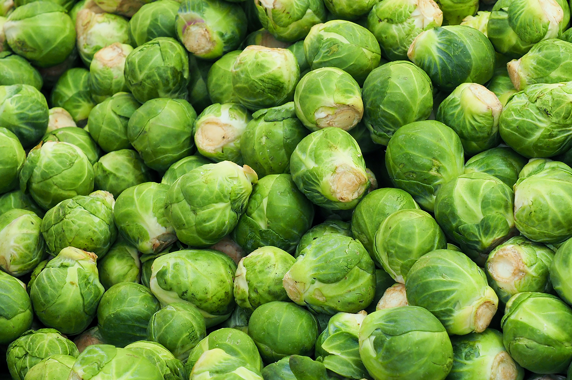 Brussels sprouts