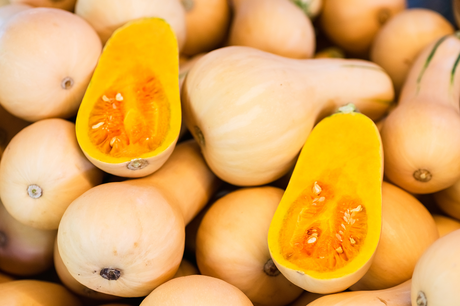 Basket of butternut squash
