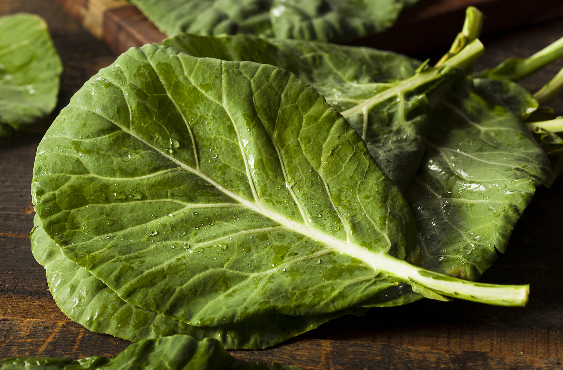 Collard green leaf