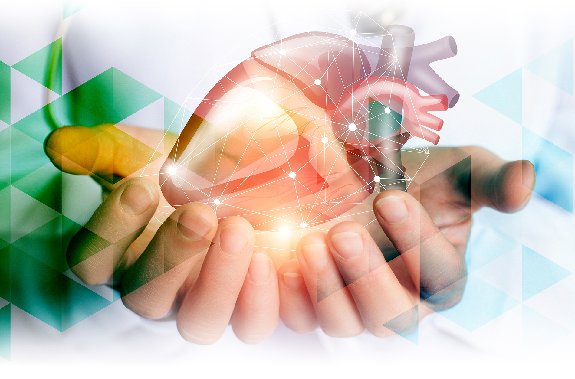 Hands holding abstract model of heart