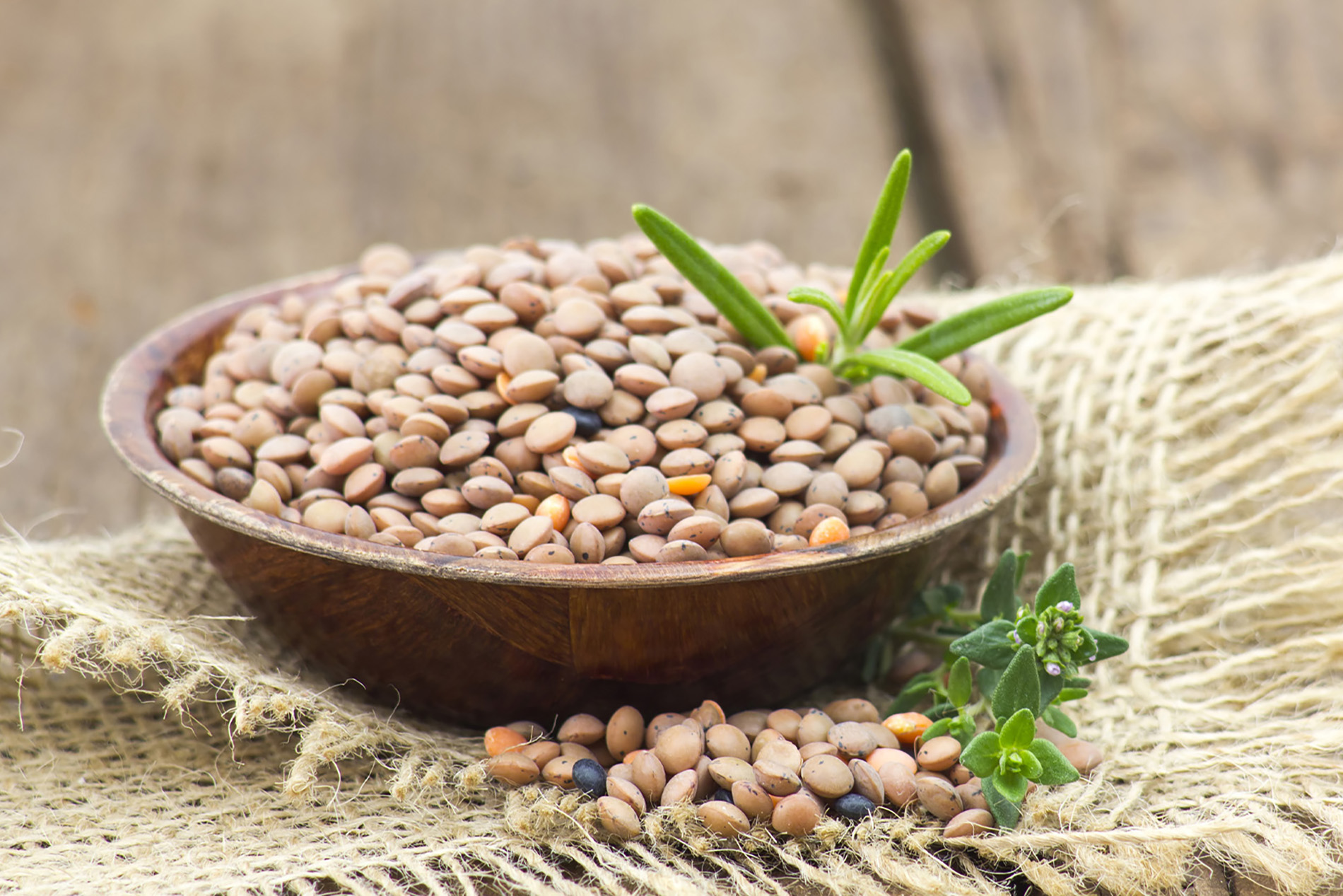 Lentils in brown bowl on burlap cloth