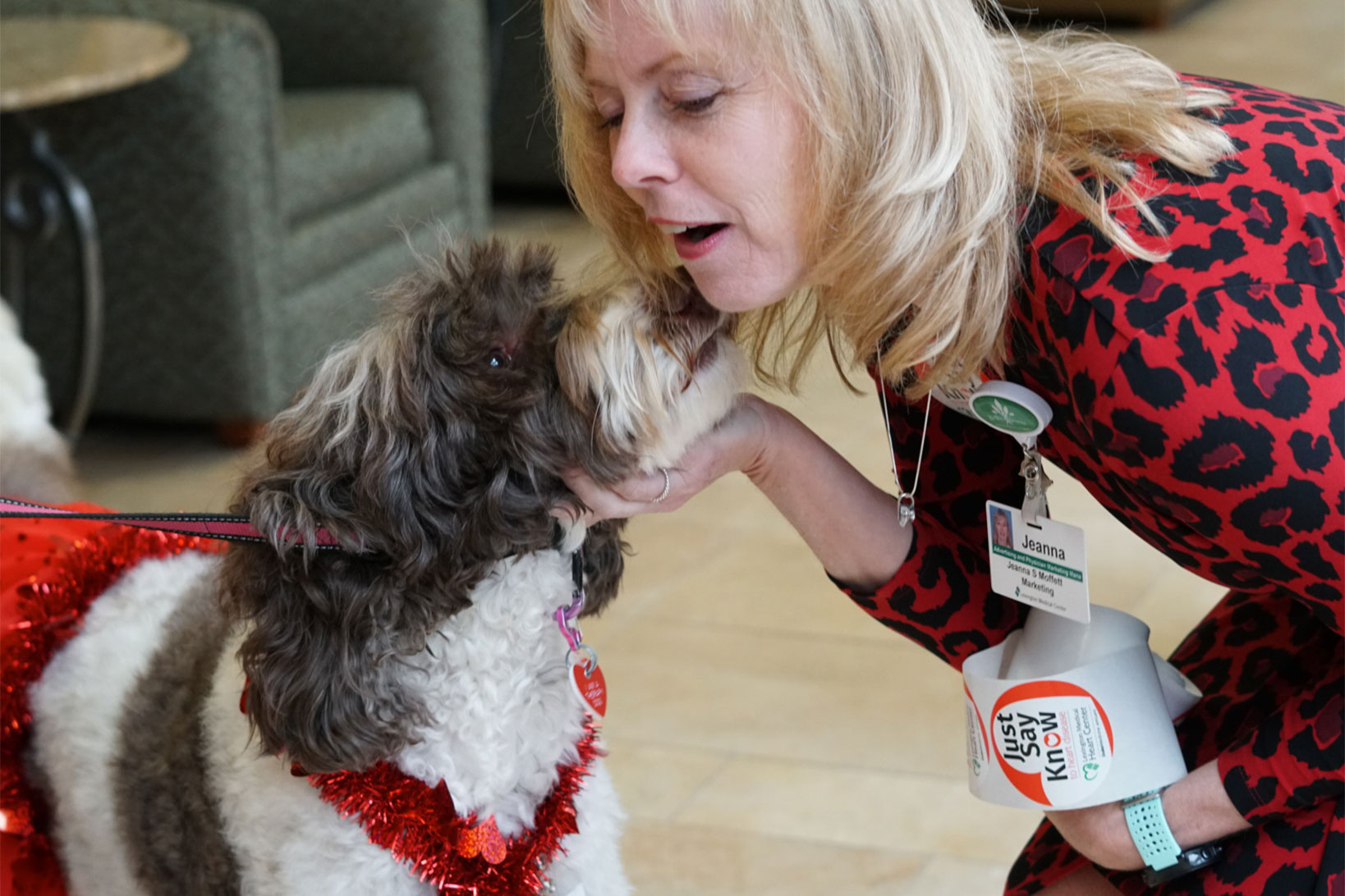 A LMC staff member leaning over to enjoy snuggling the face of a fluffy, brown and white dog in a red harness.