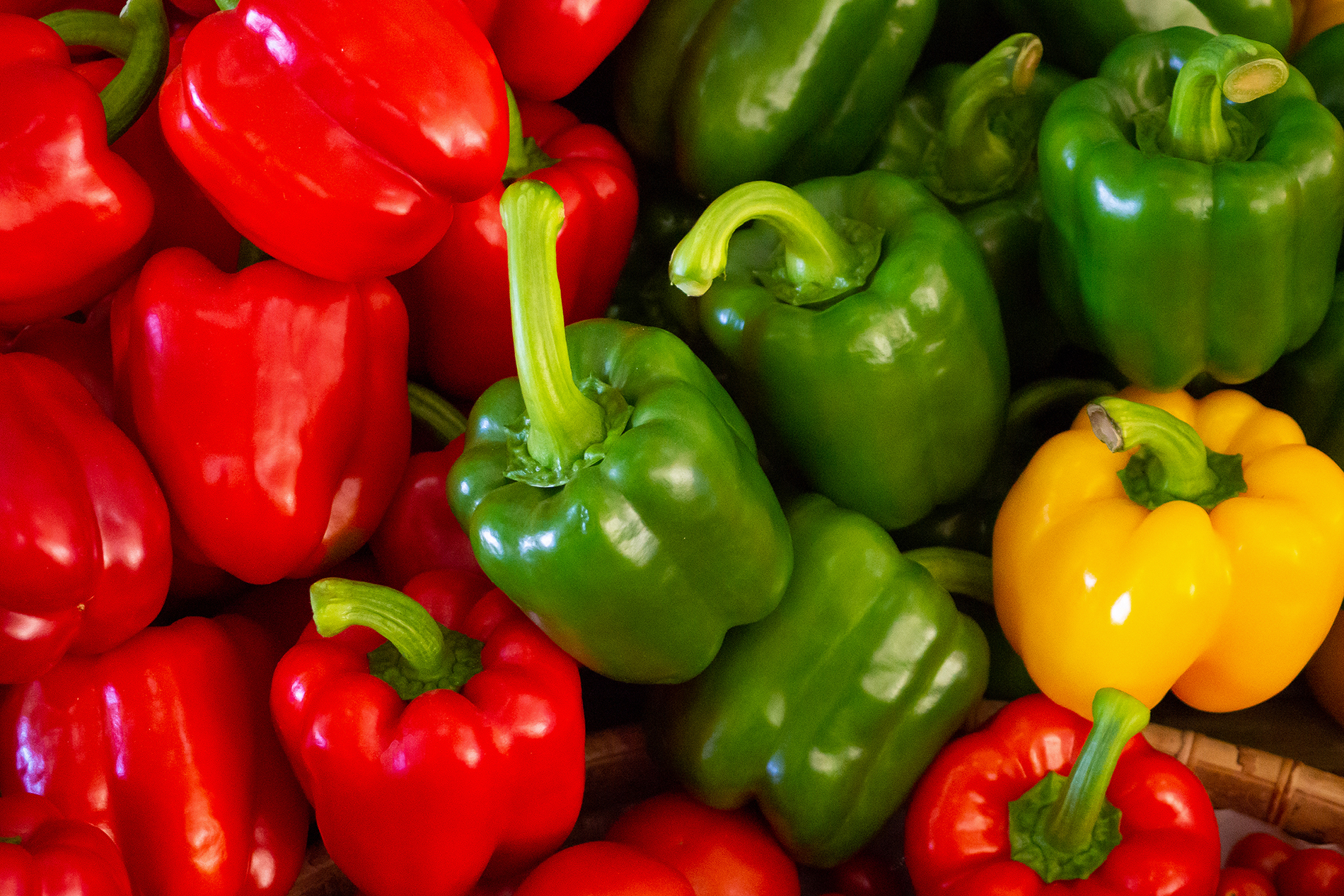 Red, green and yellow bell peppers