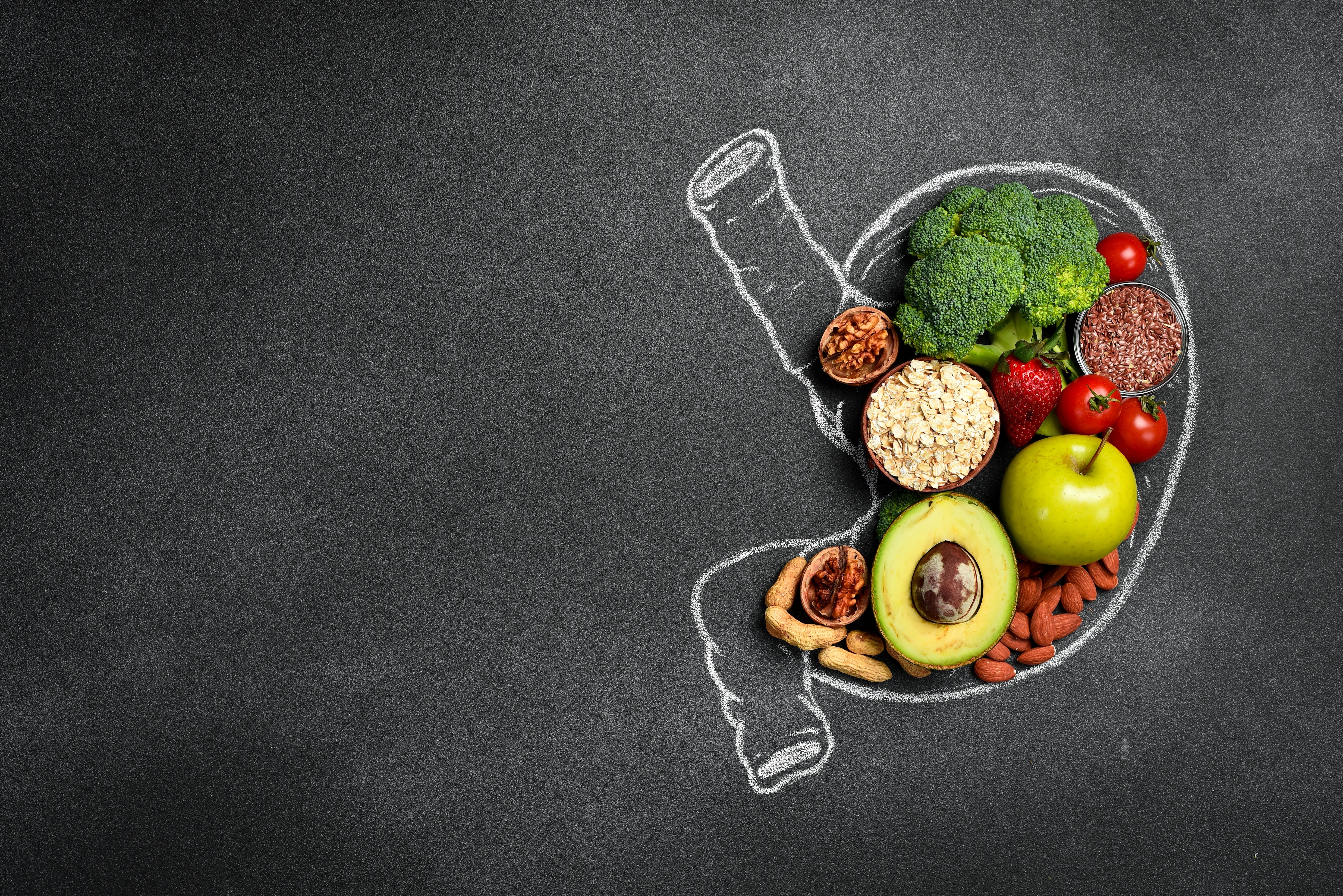 illustration of high fiber foods inside a stomach