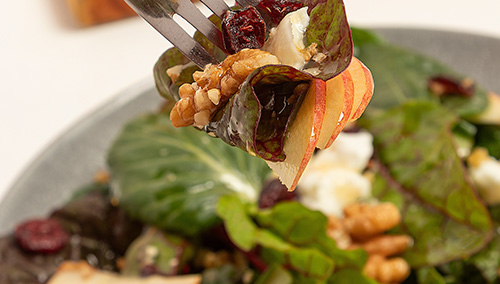 fall apple salad with grilled turkey